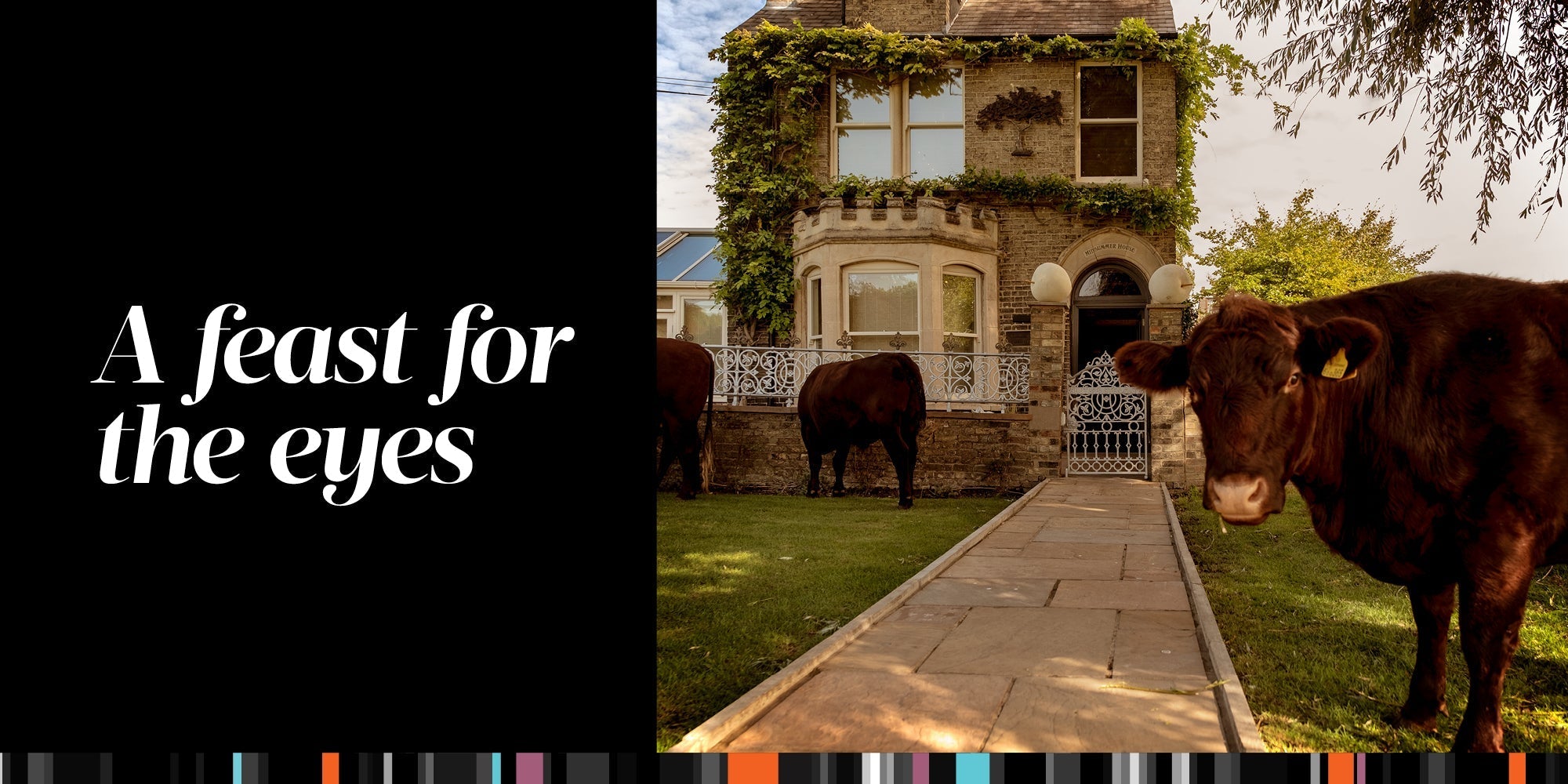 FAC AUTUMN 2020 A FEAST FOR THE EYES BLOG BANNER