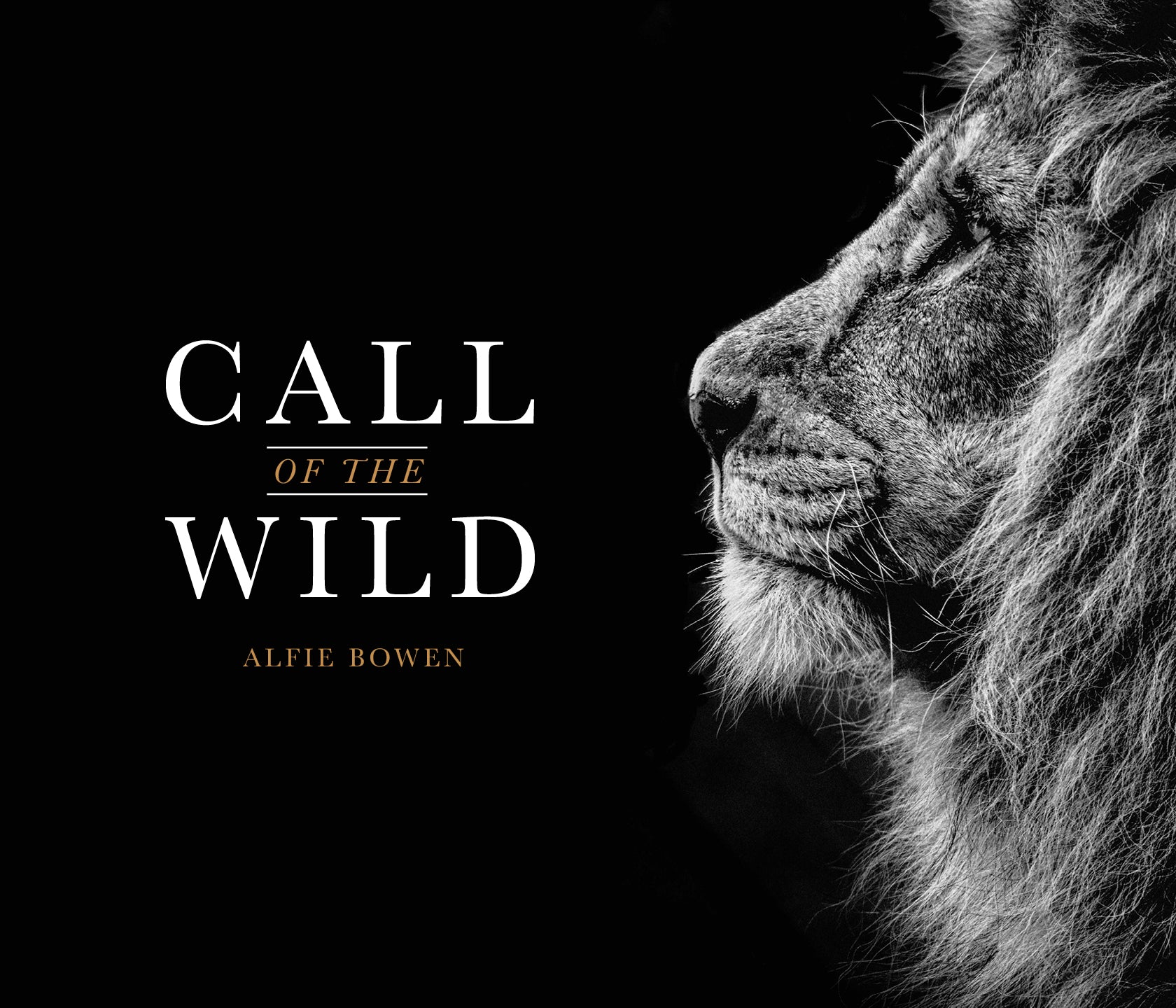 ALFIE BOWEN BLOG THUMBNAIL