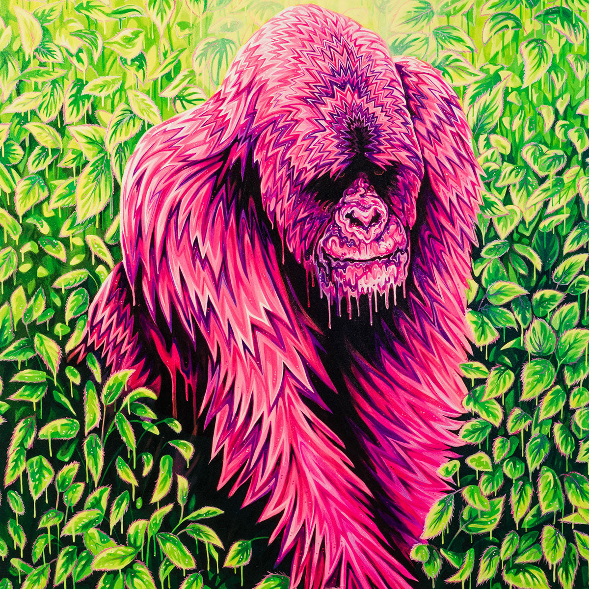 ROX Autumn 2024 Collection banner