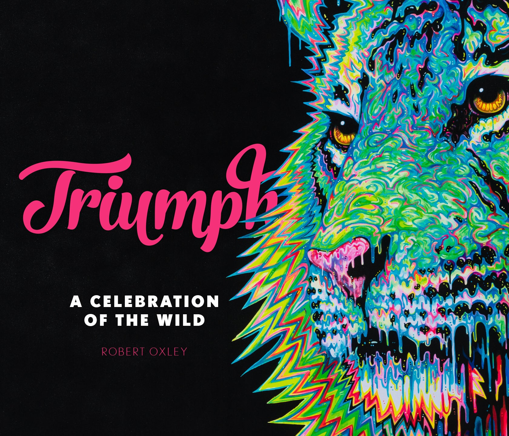 ROX TRIUMPH BLOG THUMBNAIL