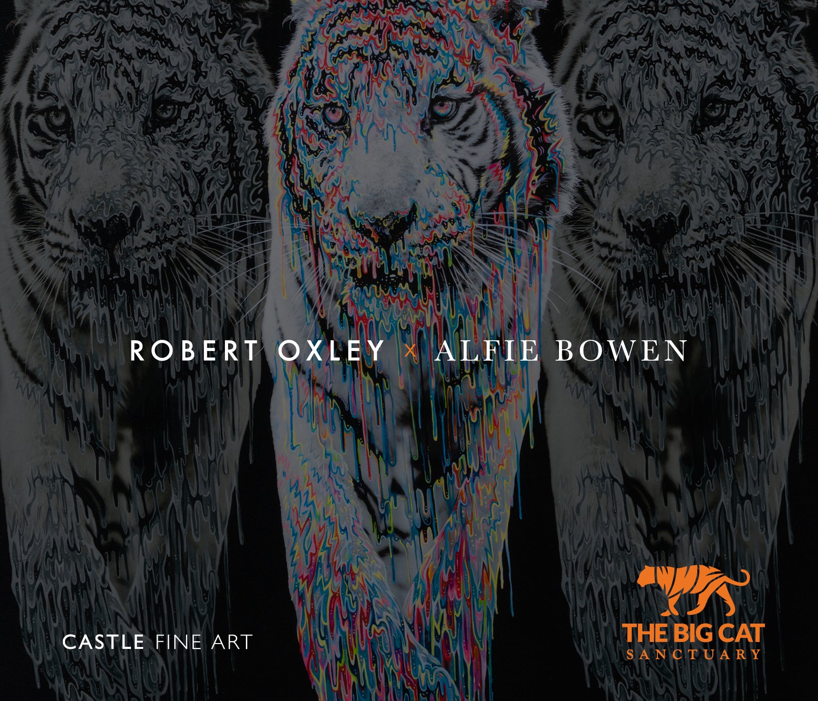 ROX x ABO DIGITAL BLOG THUMBNAIL