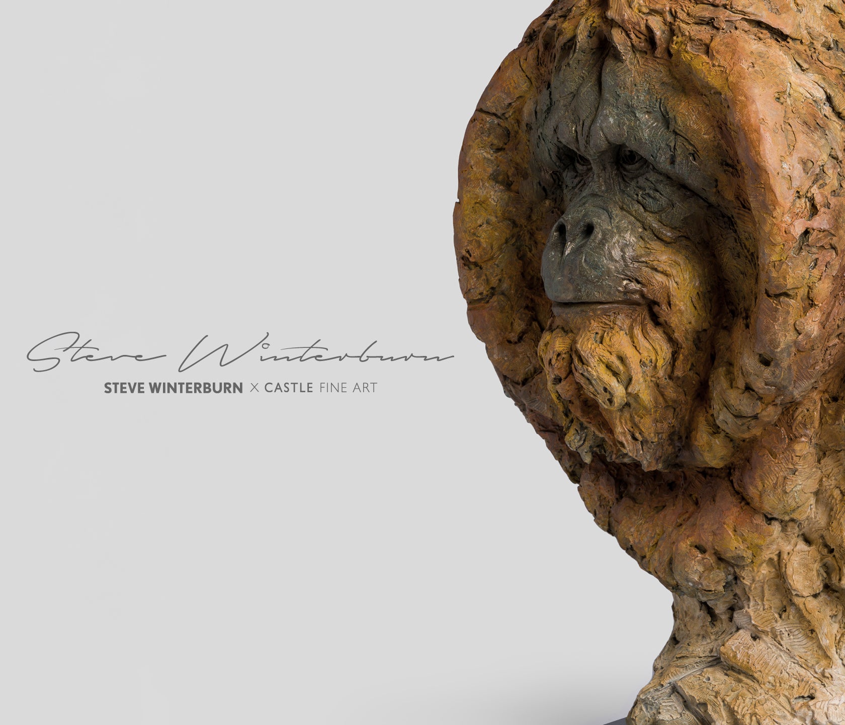 SWI ORANGUTAN BLOG THUMBNAIL