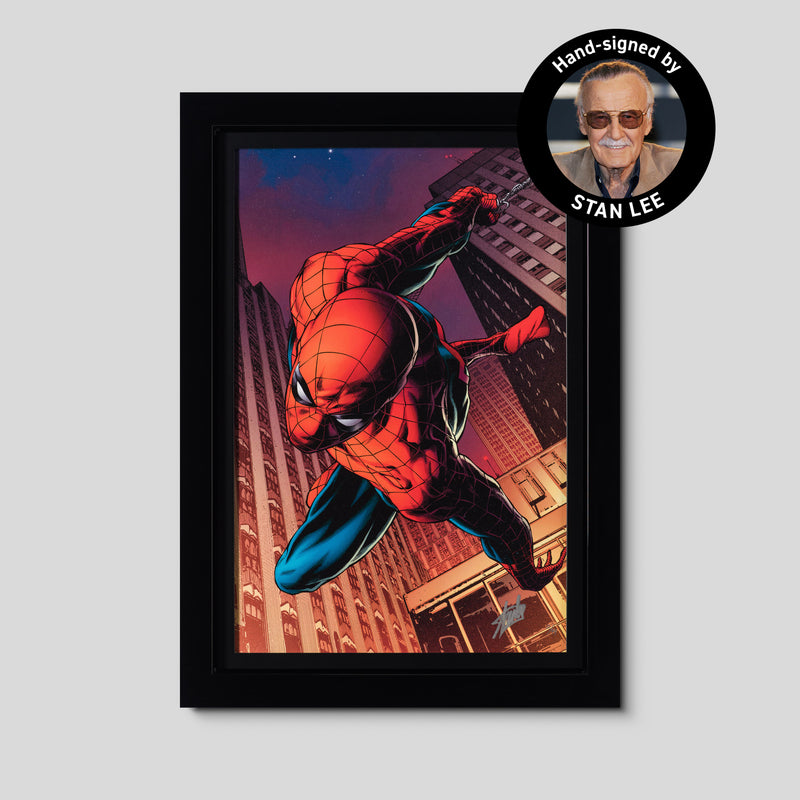 Amazing Spider-Man #641 | Standard Edition | Hand-signed by Stan Lee