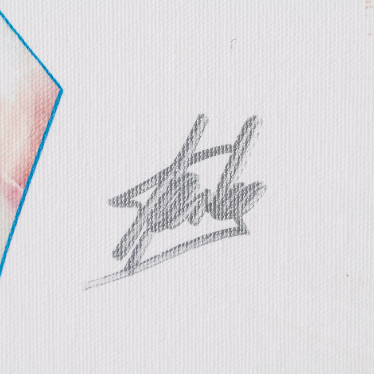 186942 3 Astonishing Spider Man Wolverine #3