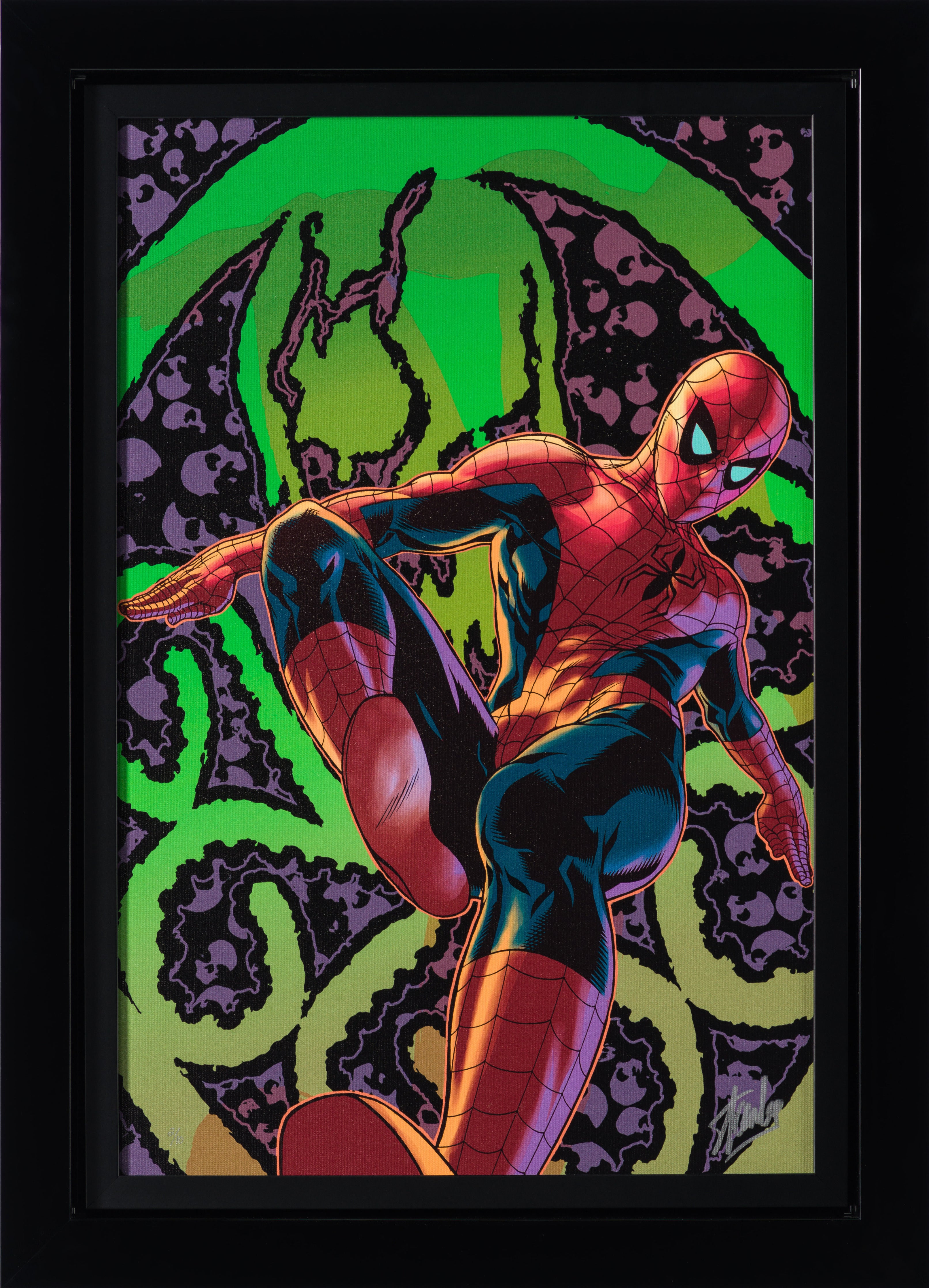 Amazing Spider-Man #524 (Collector's Edition)