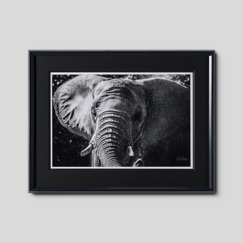 Tusker