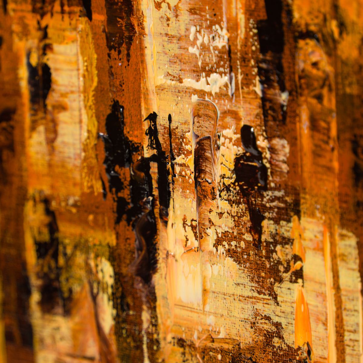 Golden Light, Grand Central