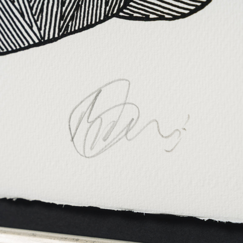 Born on a Rainy Day | The Collector Series 2026 | Framed Set of Six