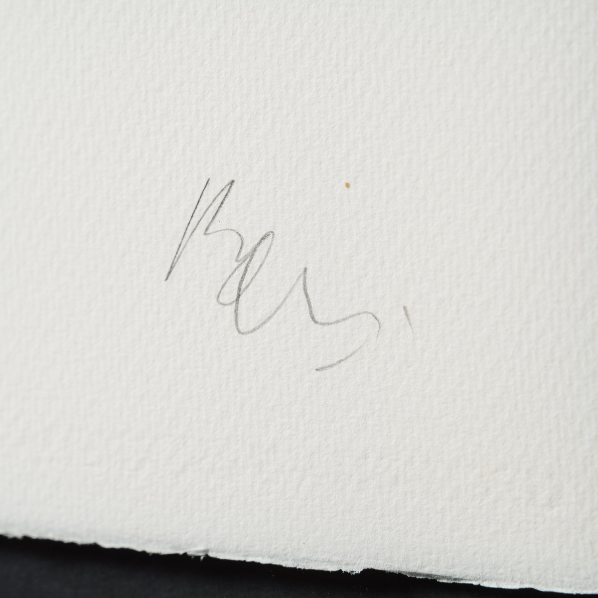 A Load of Old Bollocks of Many Colours | Standard