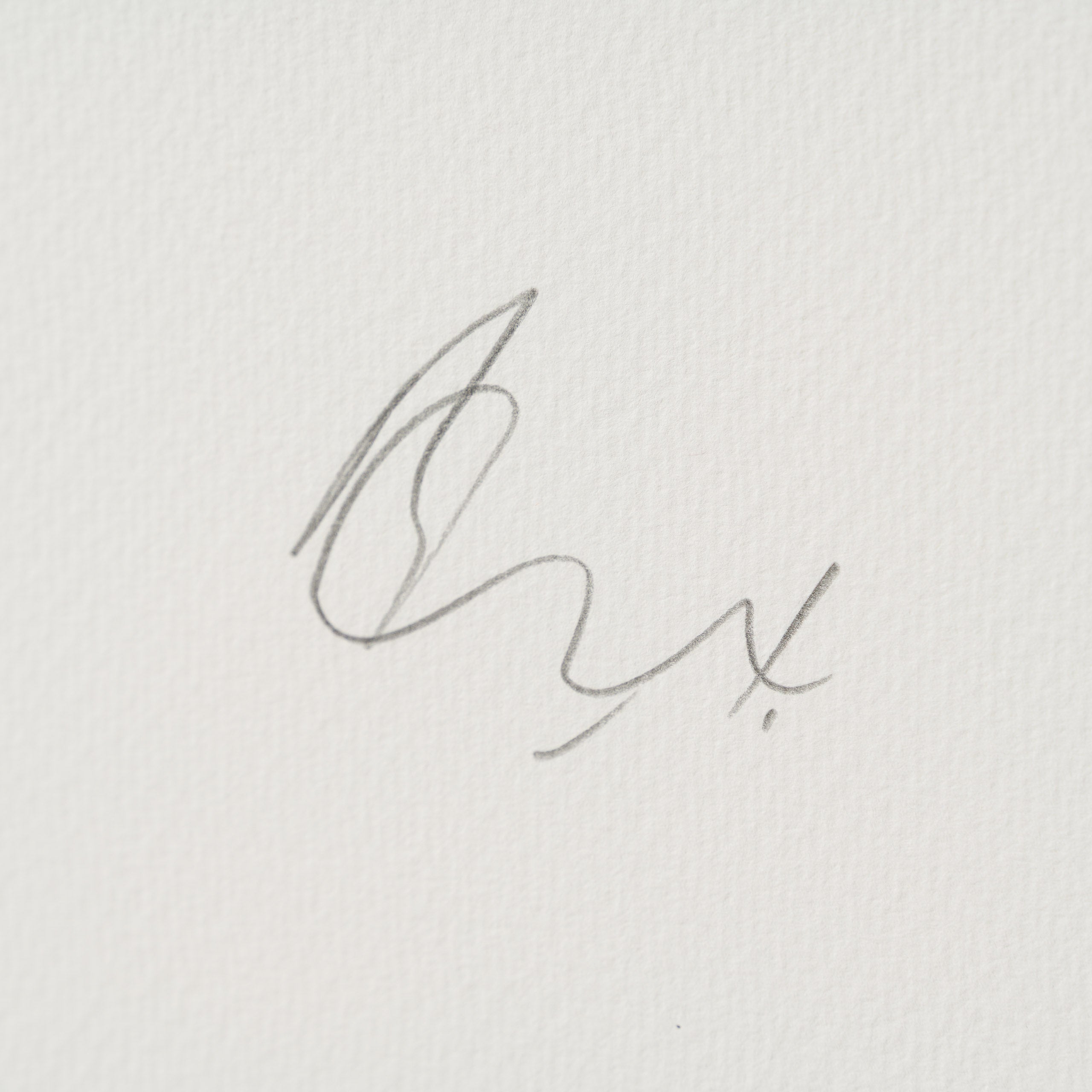 A Load of Old Bollocks of Many Colours | Large