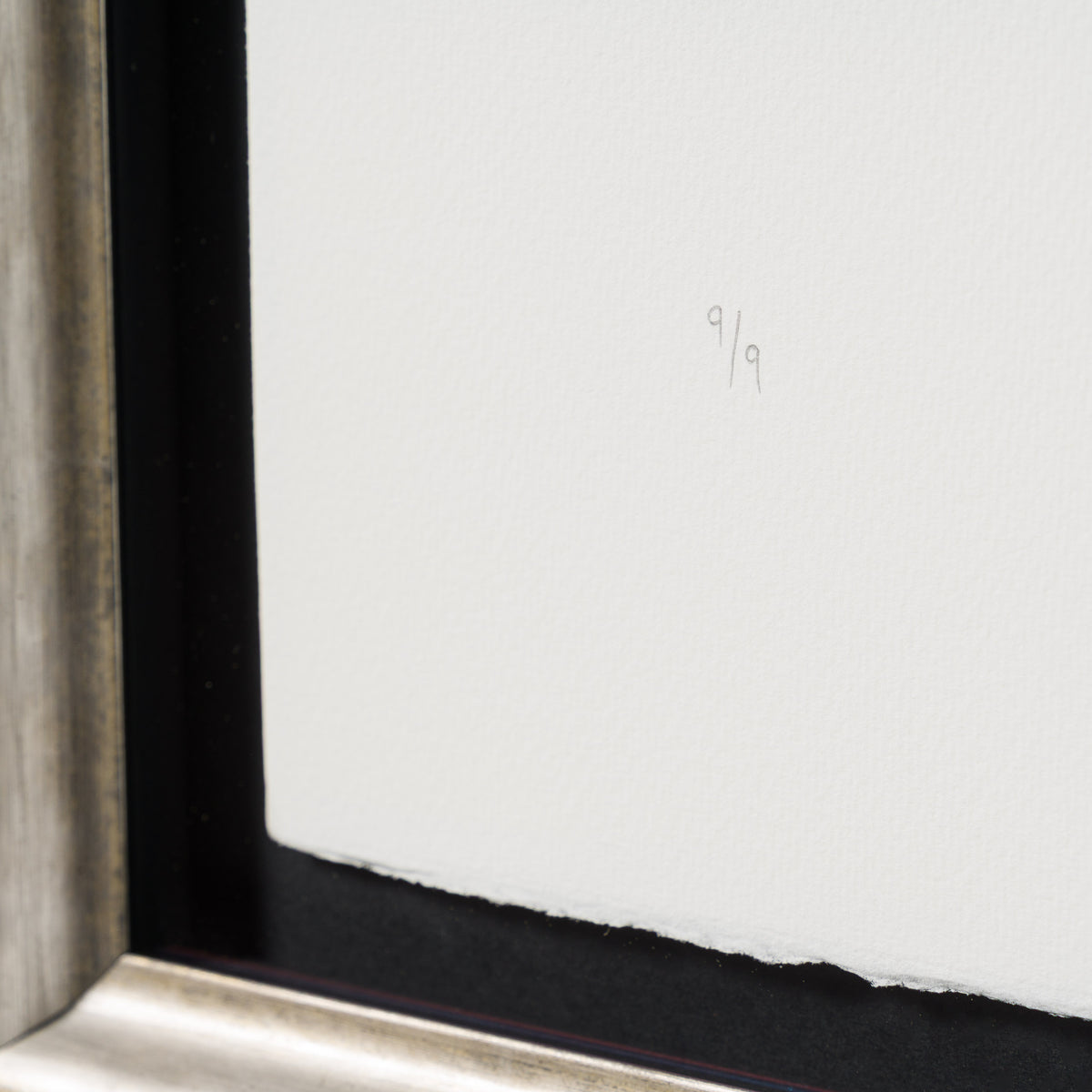 A Load of Old Bollocks of Many Colours | Large