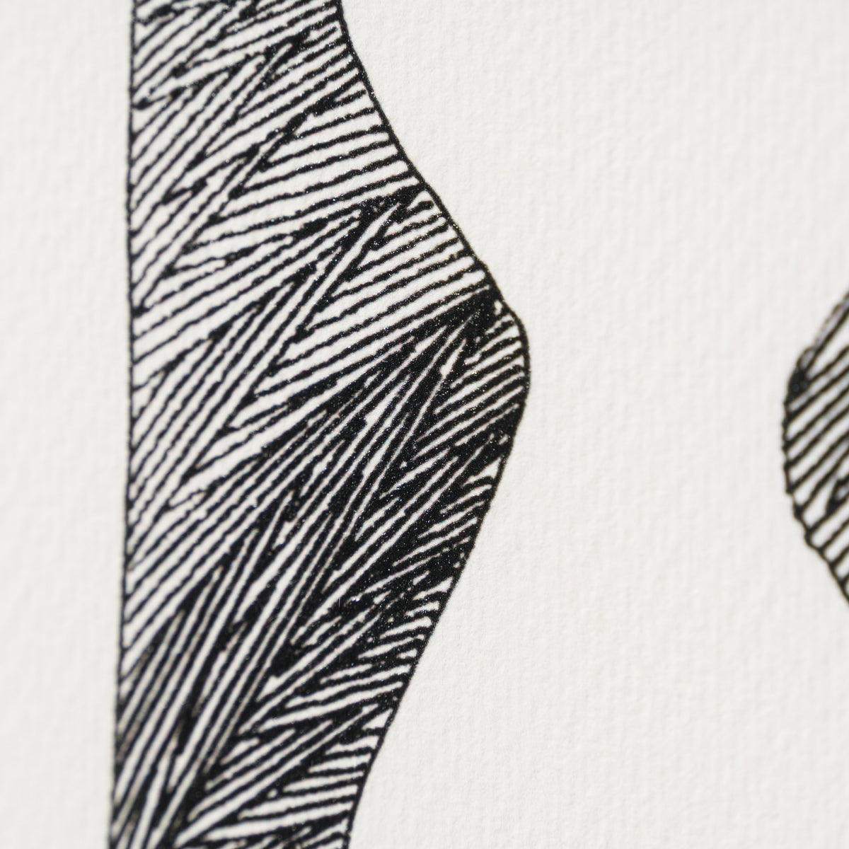 Born on a Rainy Day | The Collector Series 2026 | Framed Set of Six