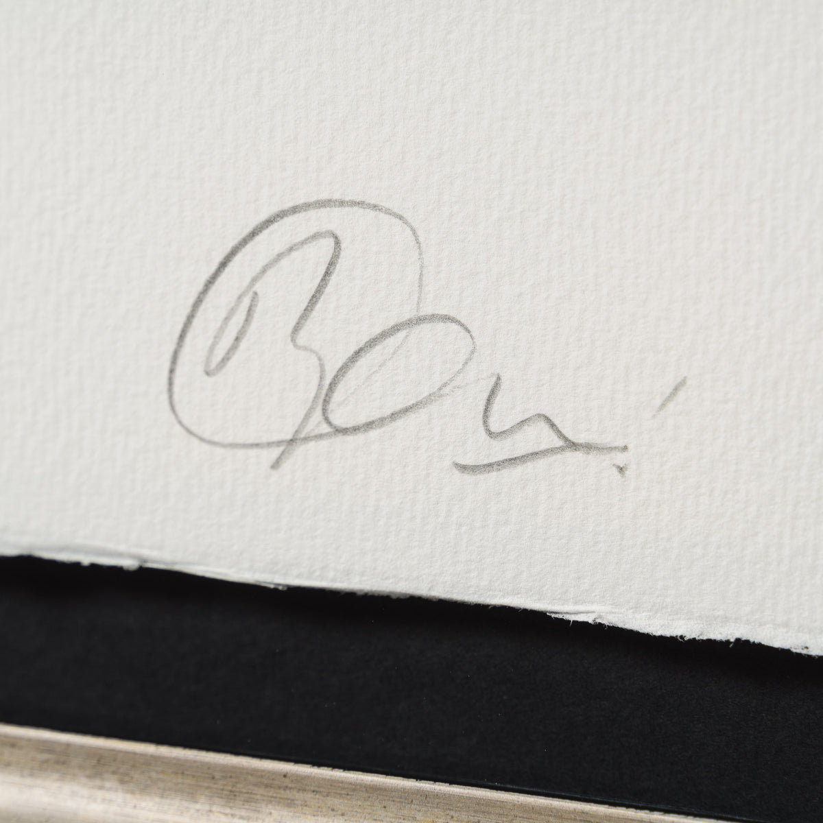 Weeeee! | Blue Circles | Large