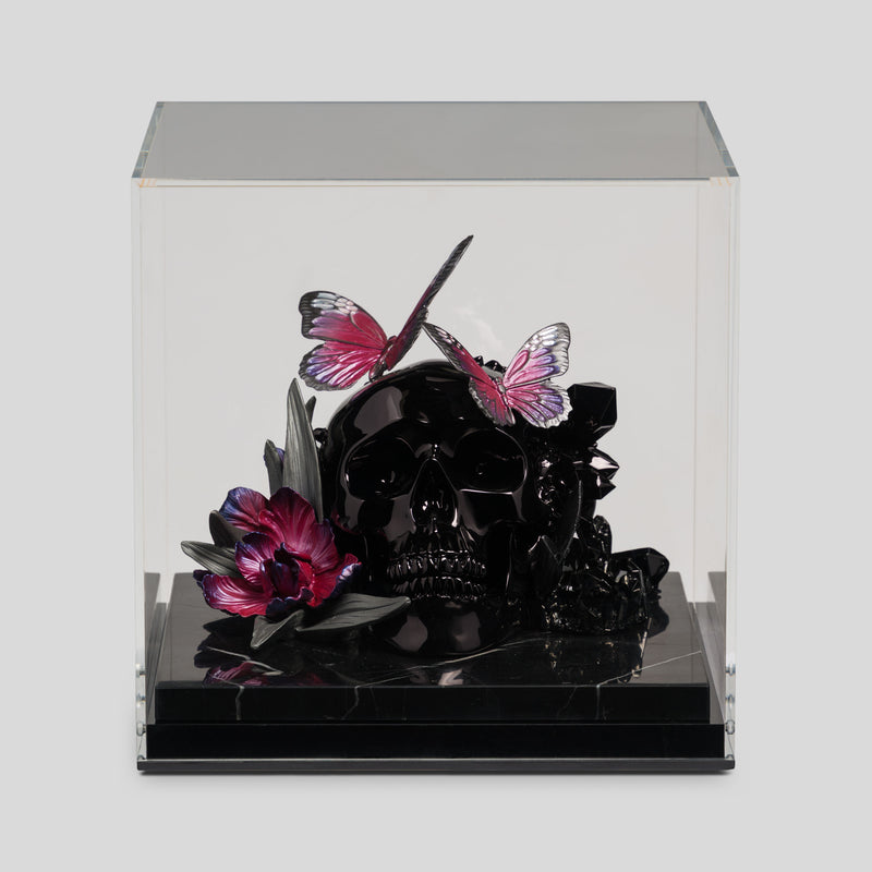 Of This Earth | Black Chrome