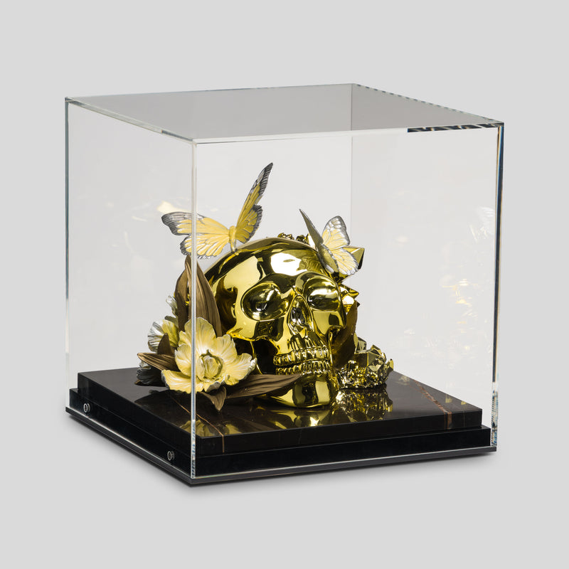 Of This Earth | Gold