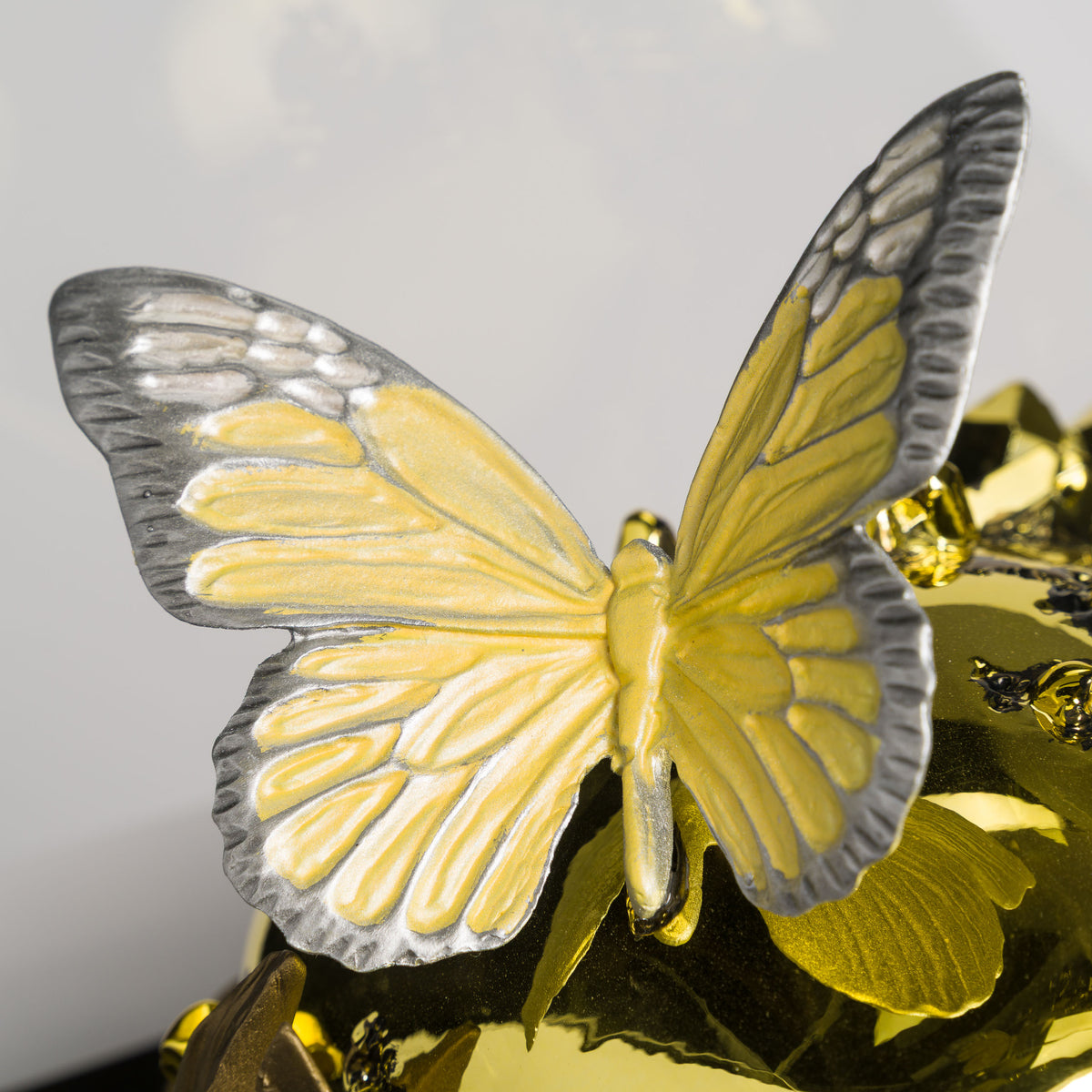 Of This Earth | Gold