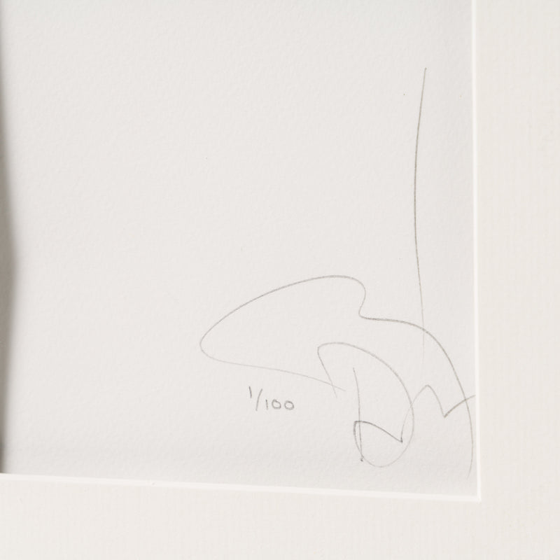 Accidents & Underdogs 2026 | Framed Set of Three