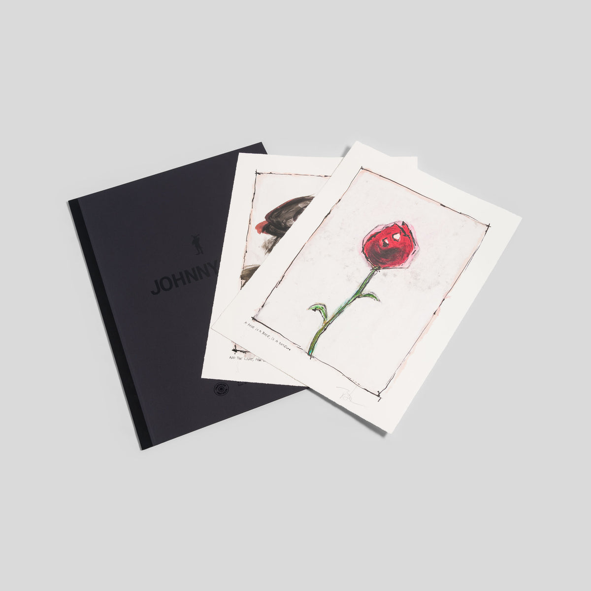 Let the Light In | Portfolio set of two