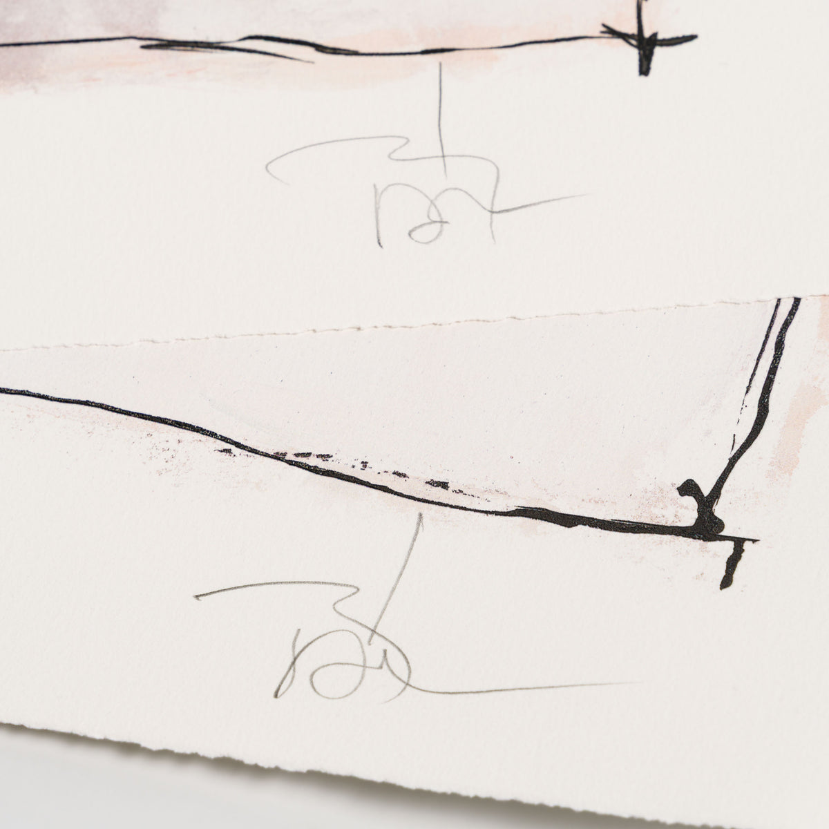 Let the Light In | Portfolio set of two