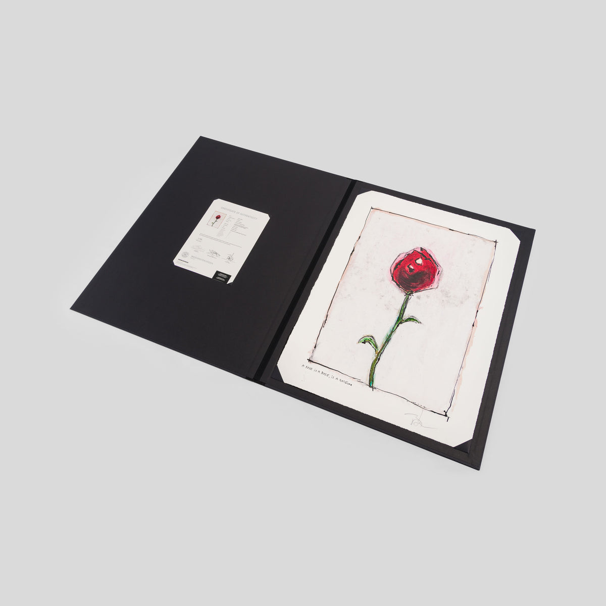 A Rose Is A Rose Is A Rose