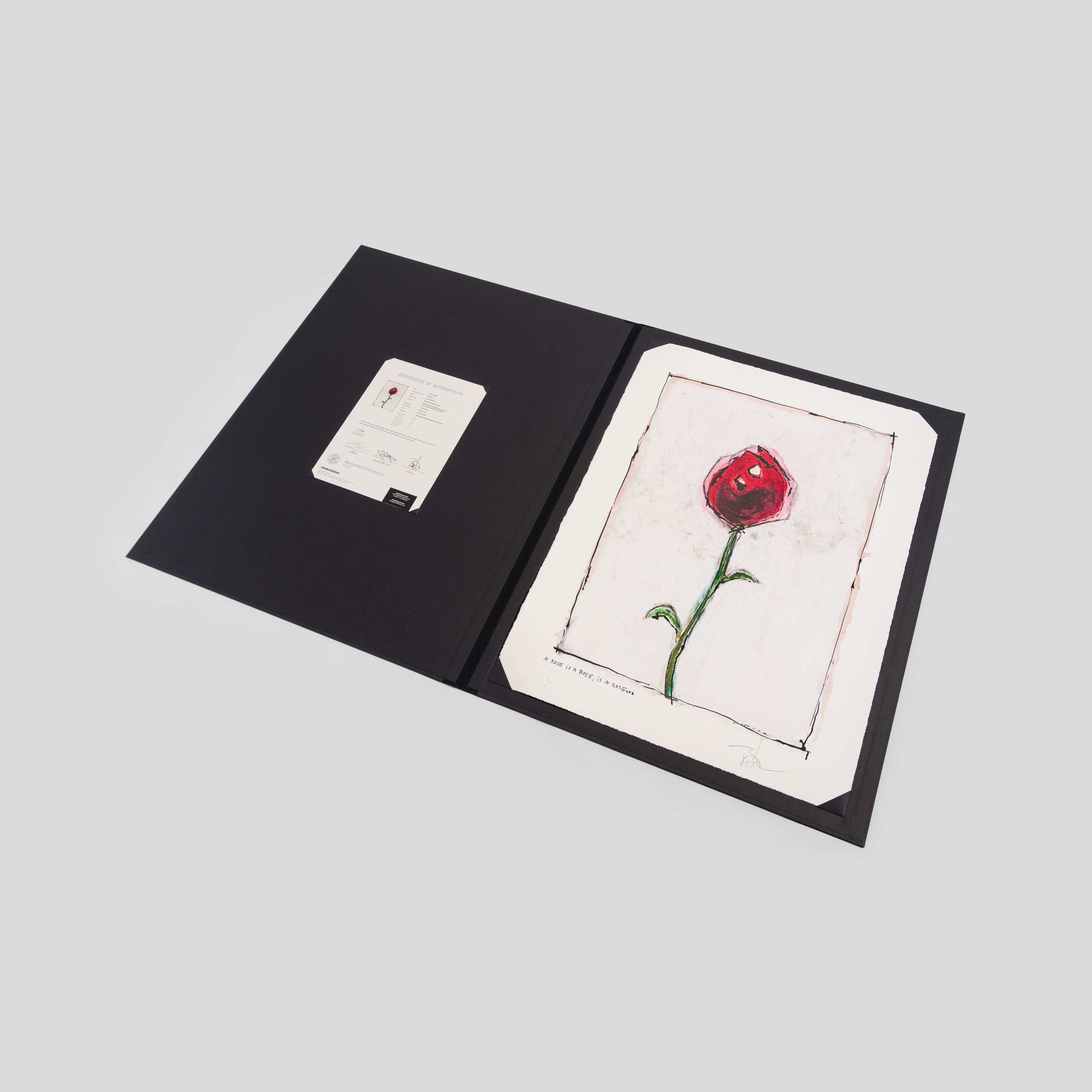 A Rose Is A Rose Is A Rose