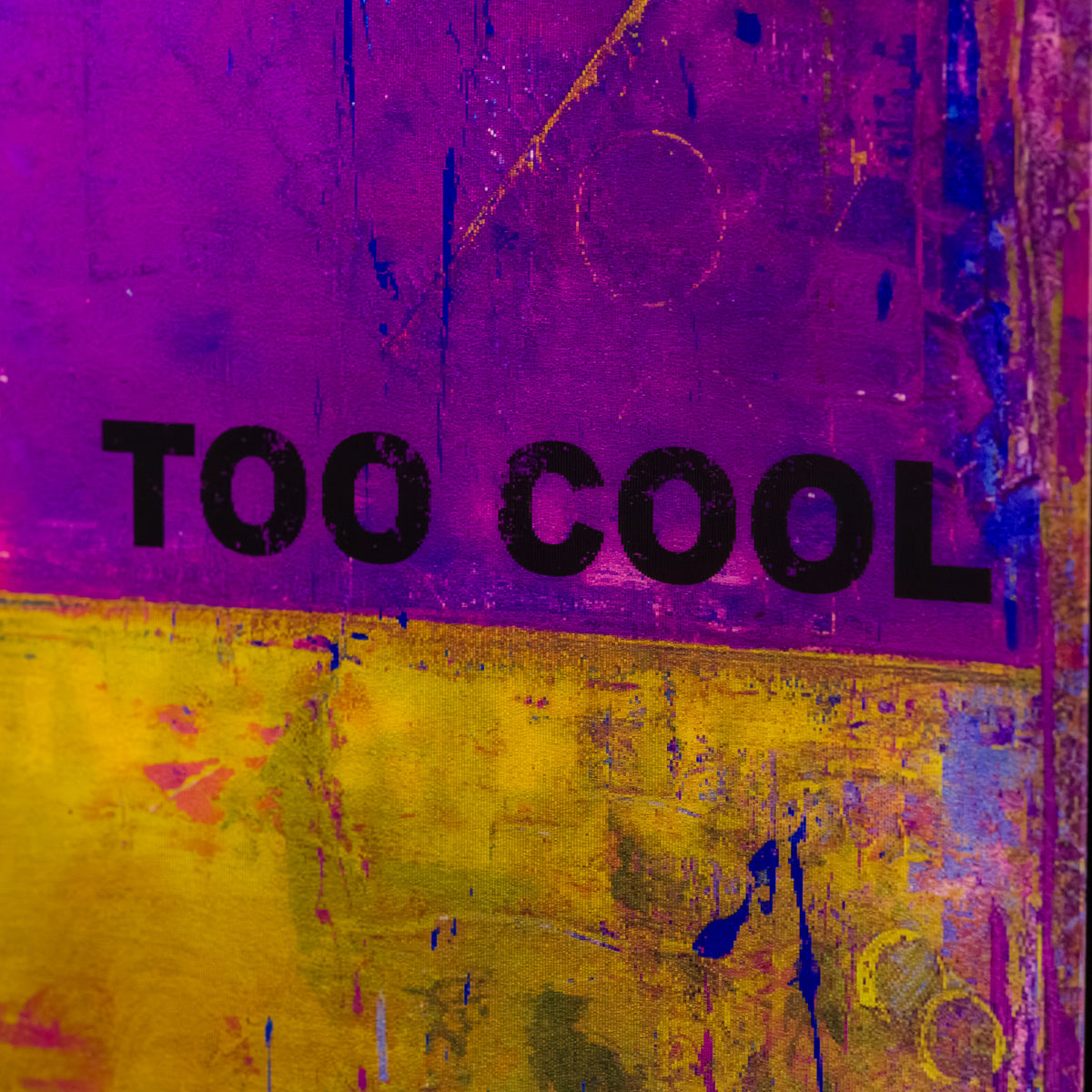 Too Cool To Give A F***