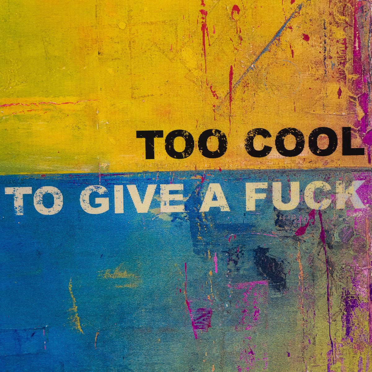 Too Cool To Give A F***