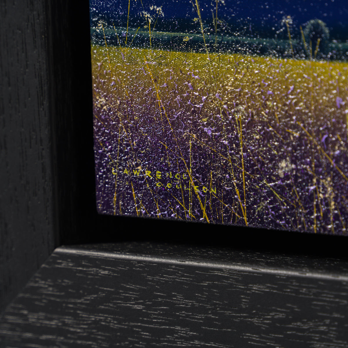This Quiet Light