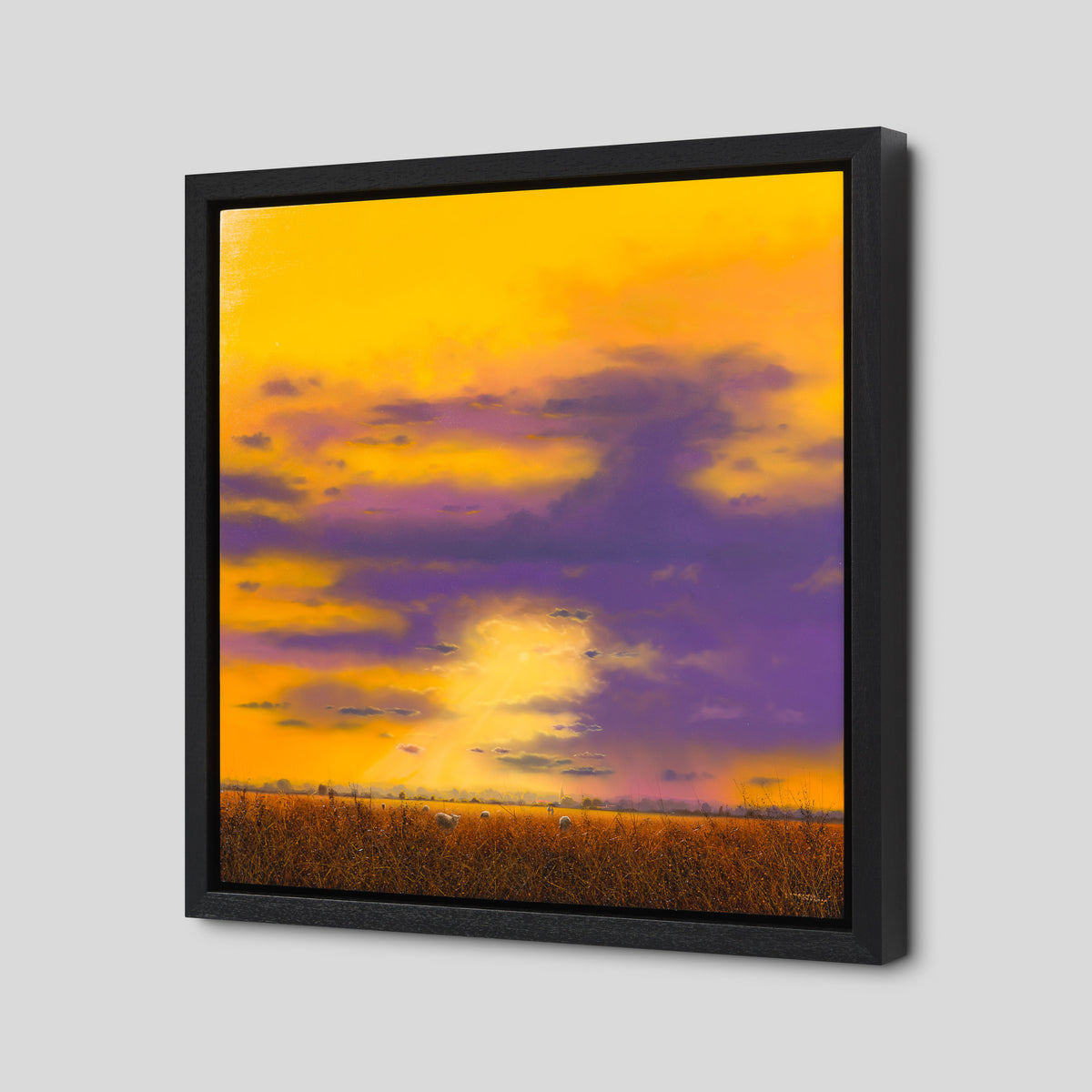 Sunburst Pasture