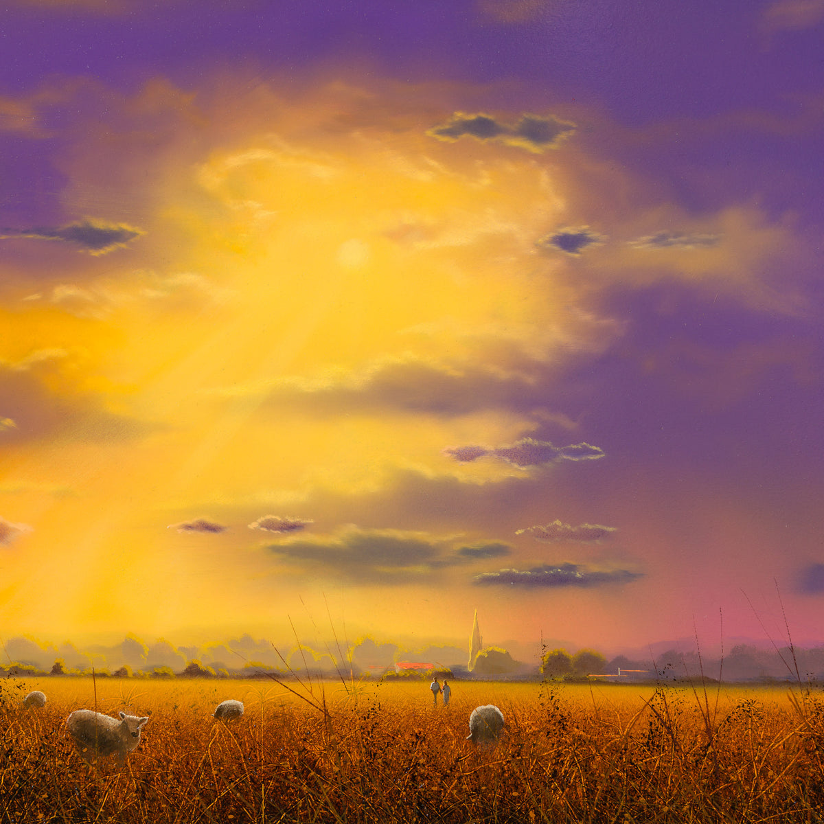 Sunburst Pasture