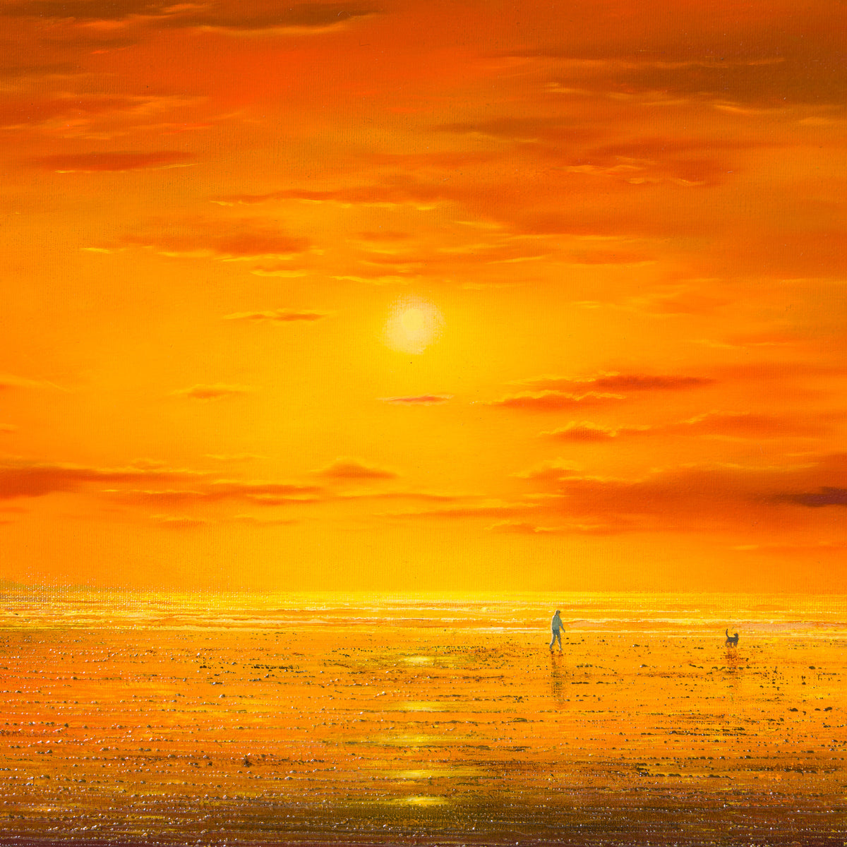 Sunset Sanctuary