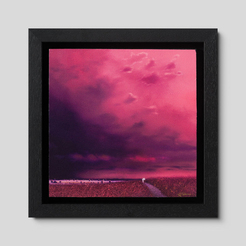After The Storm