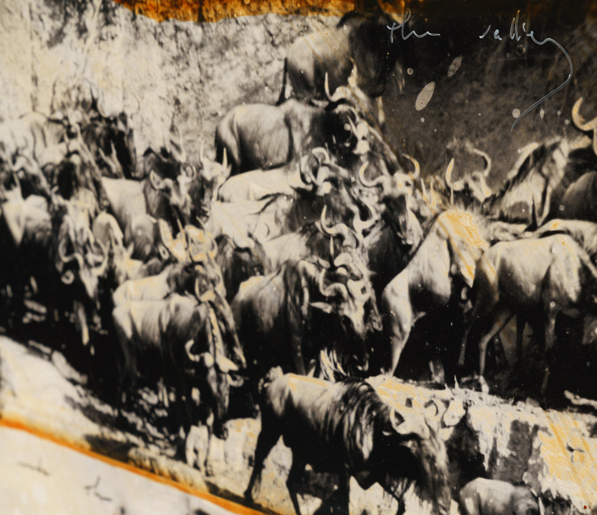 MAZ ORI POR 28241 6 Kuhama