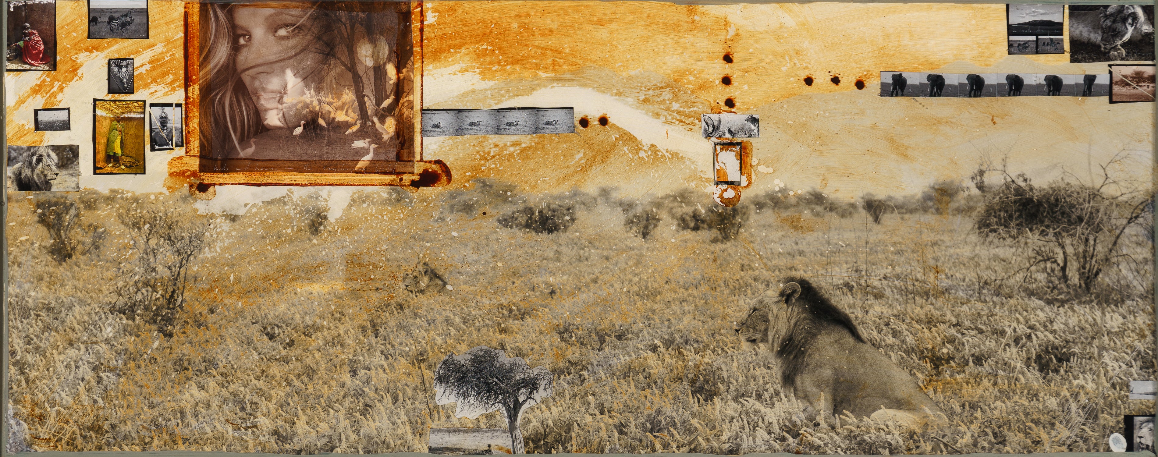 MAZ ORI POR 28243 3 Kulinda