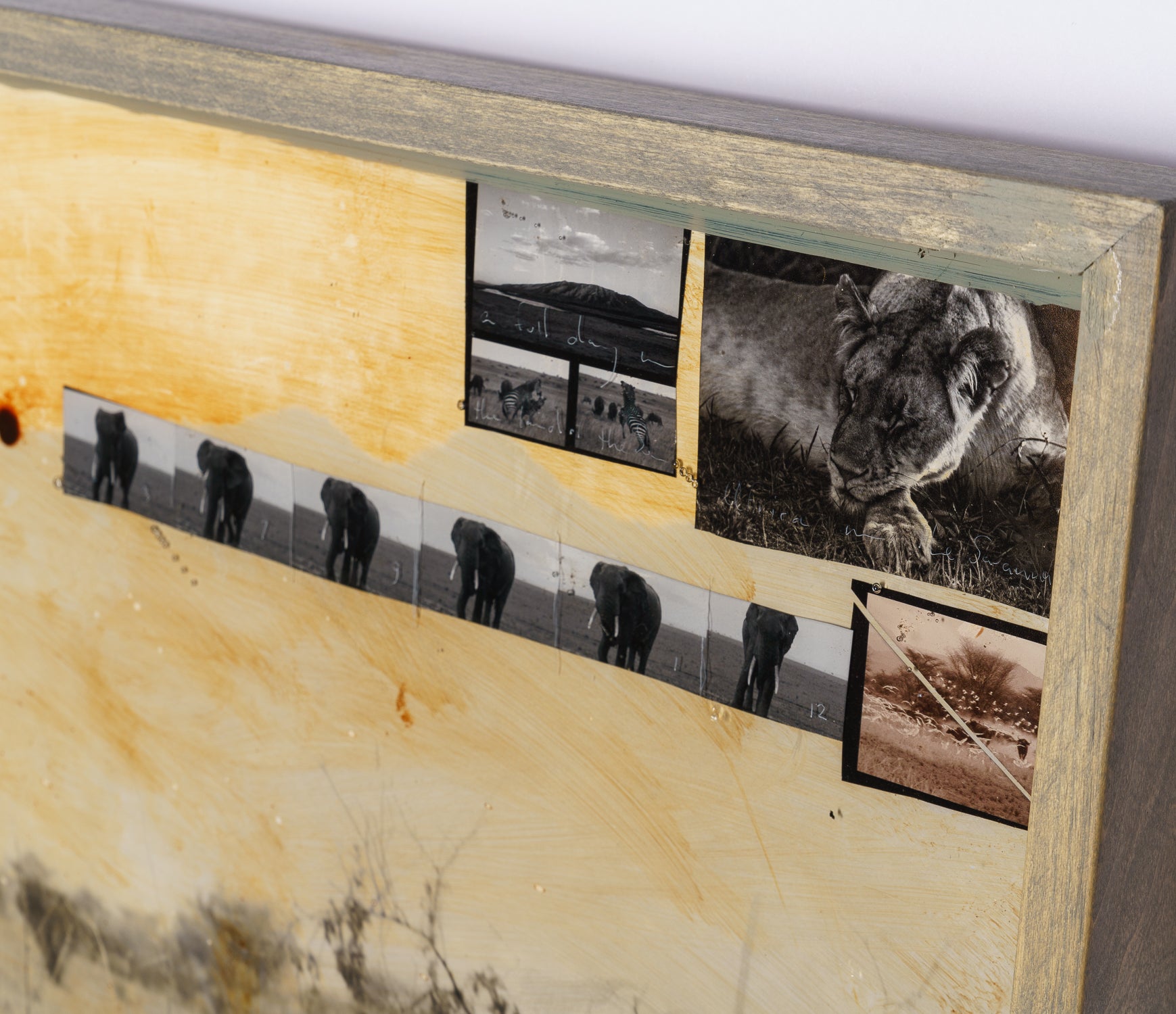 MAZ ORI POR 28243 5 Kulinda