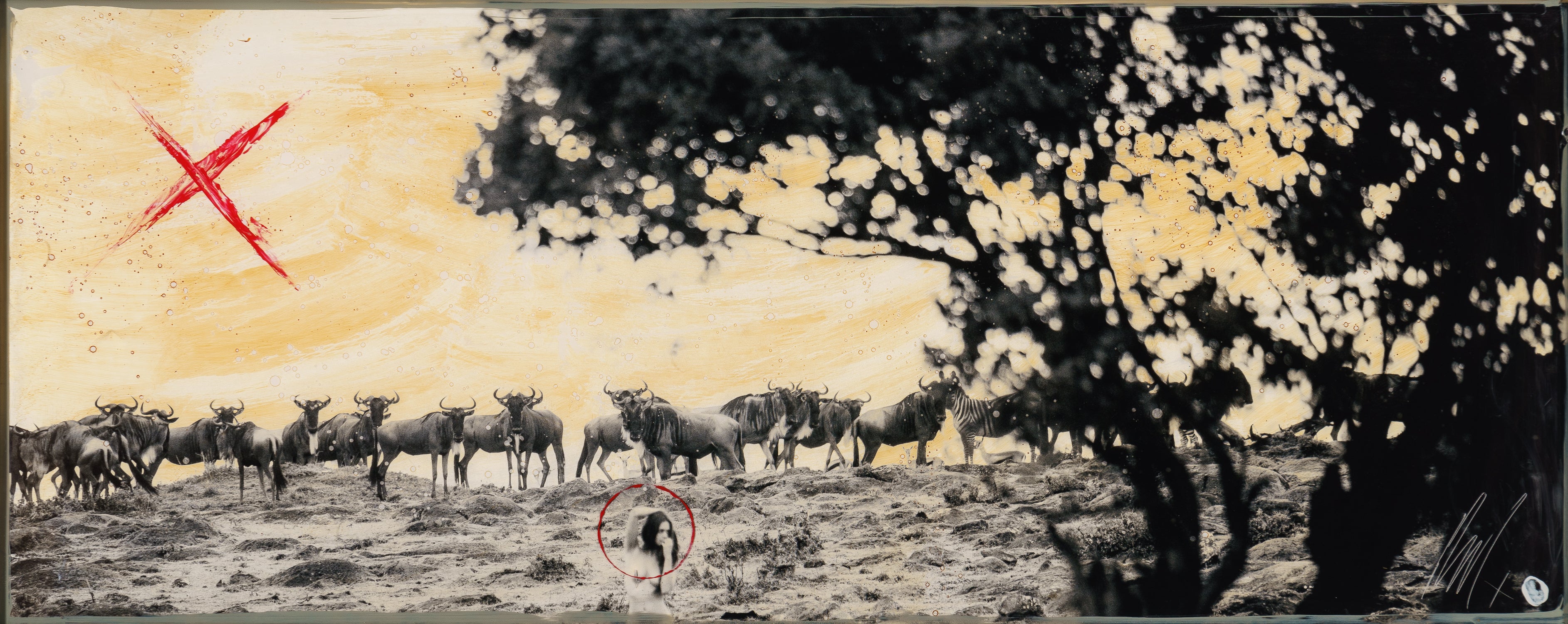 MAZ ORI POR 28247 3 Malisho