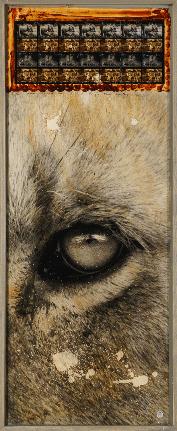 MAZ ORI POR 28259 4 Tafakari