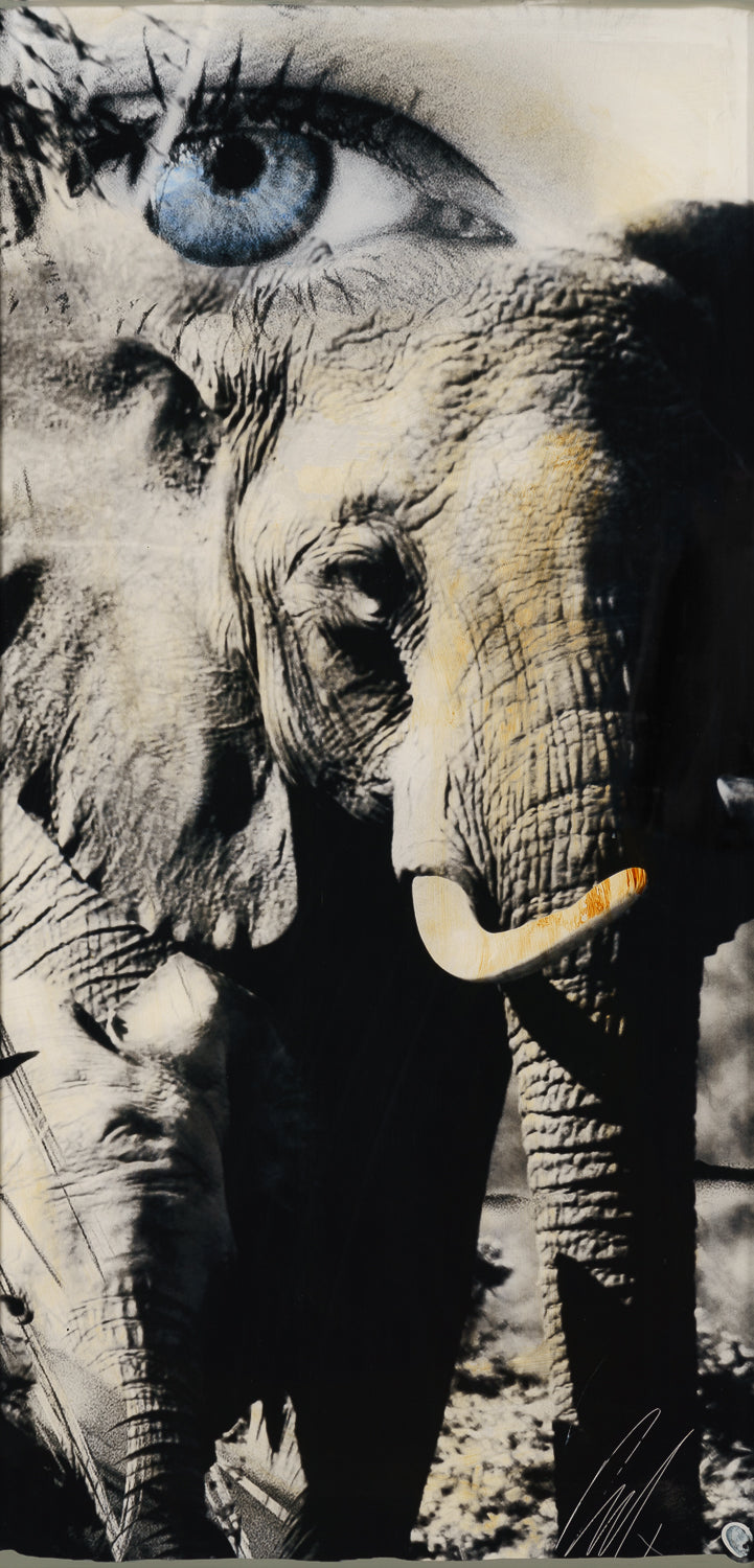 MAZ ORI POR 28261 3 Tembo ARW