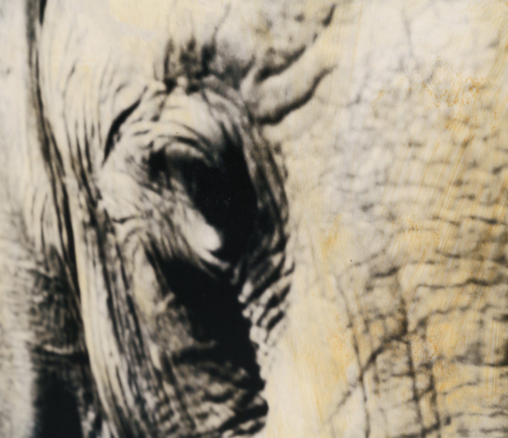 MAZ ORI POR 28261 6 Tembo