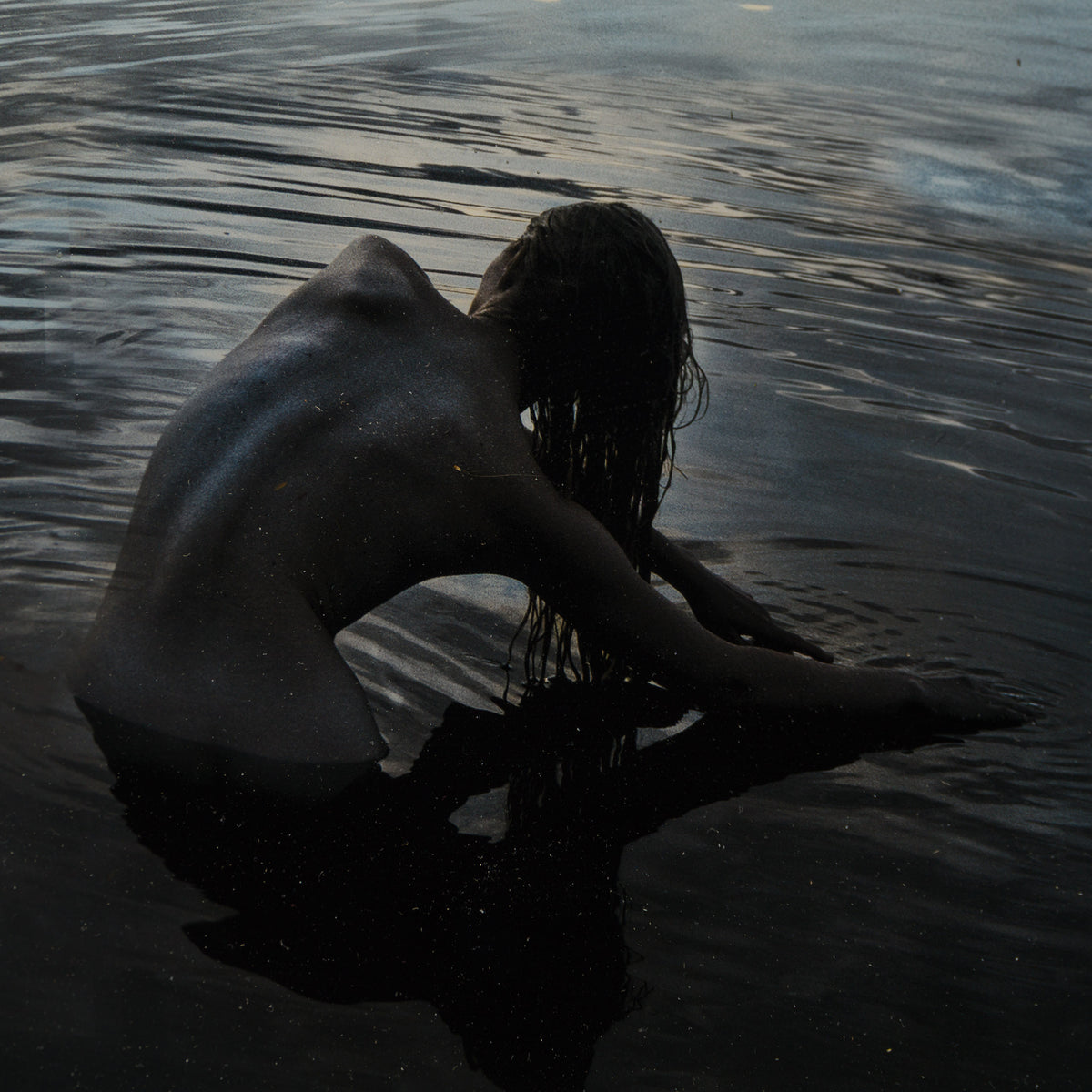 Silver Morning 3