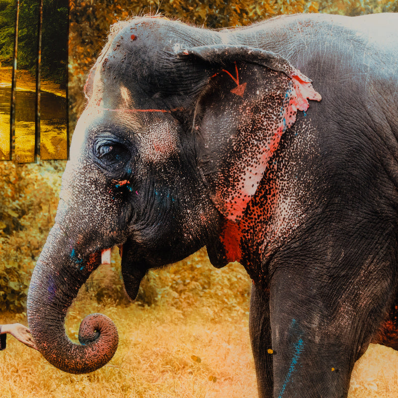MITRA (Friend)