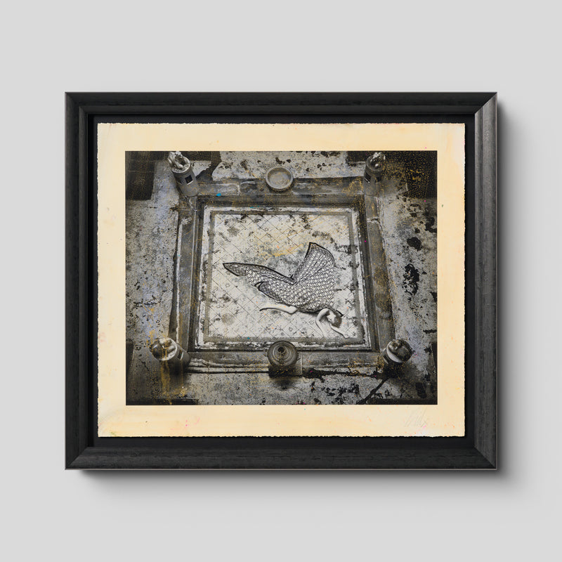 Aangan (The Courtyard) XXV