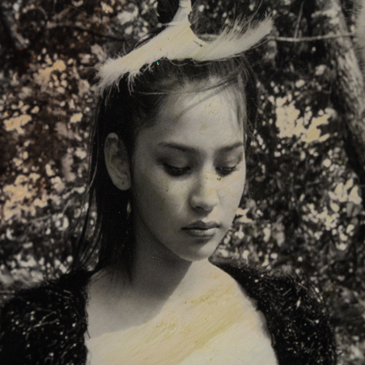 Daughters Of The Same Sky