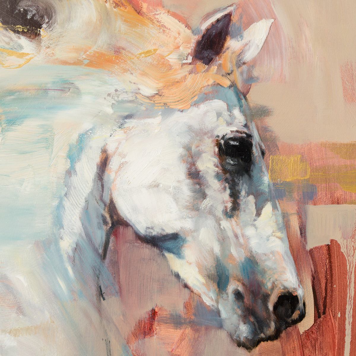 Rearing Stallion