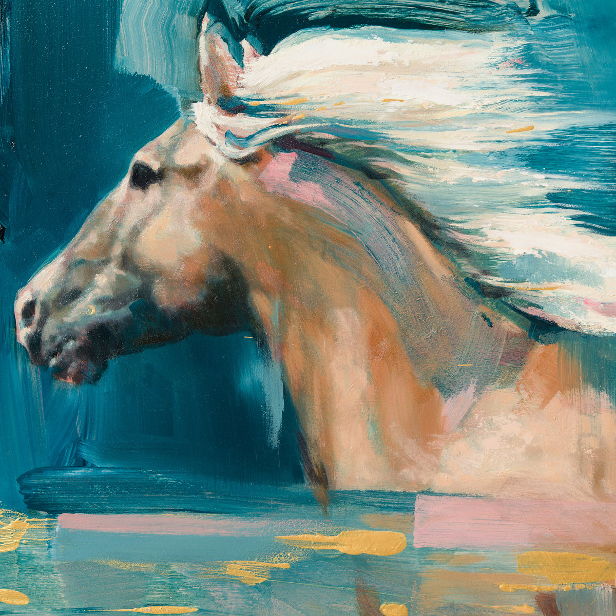 Wild Gallop