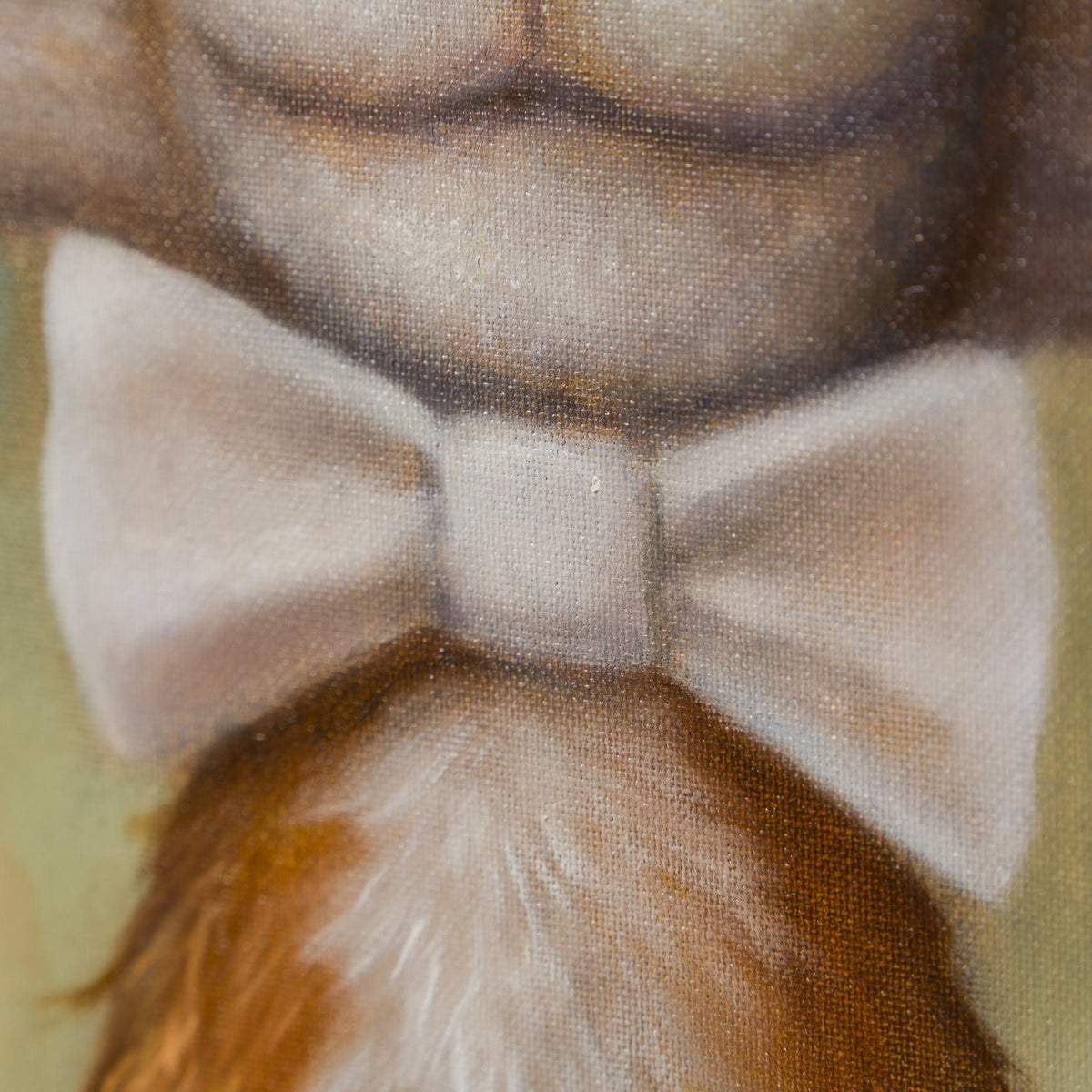 Majestic Mr Fox