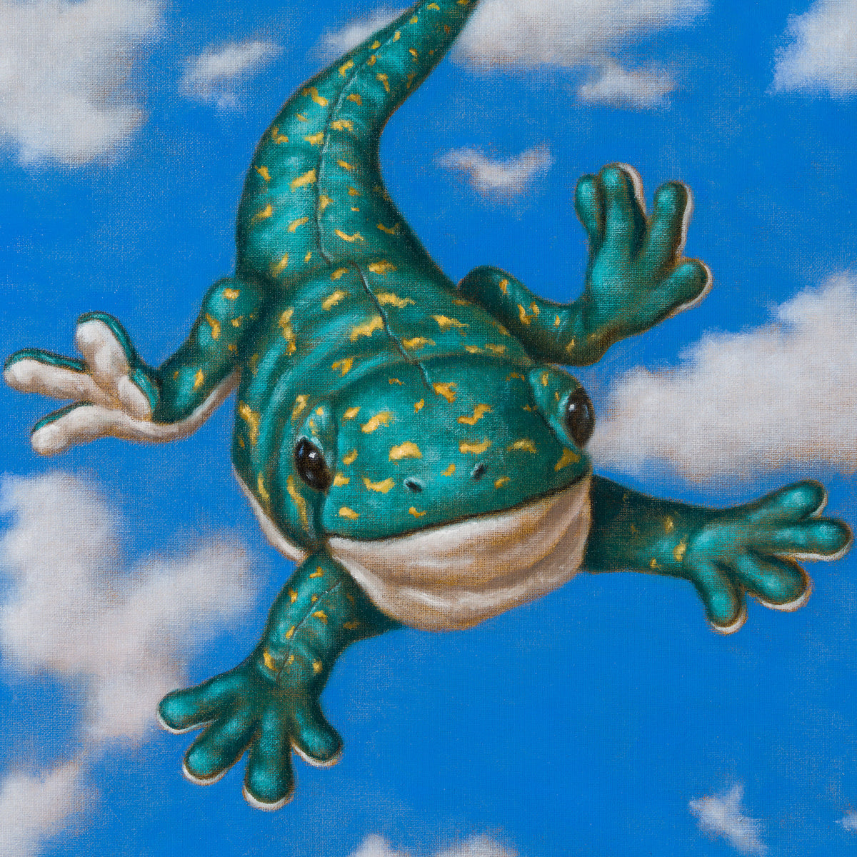Flying Lizard (Oil)