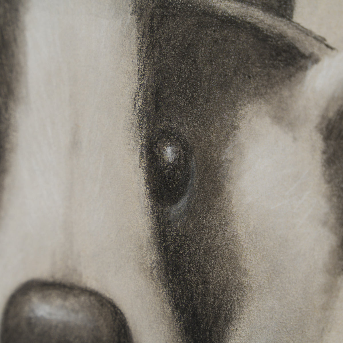 Mr Badger