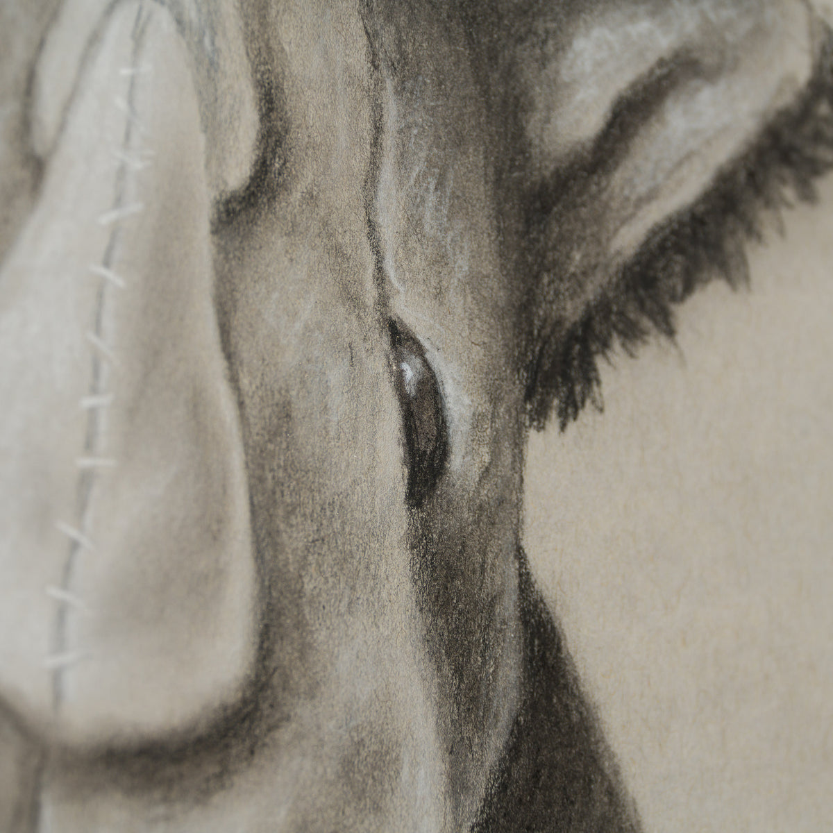 Charlie (Drawing)