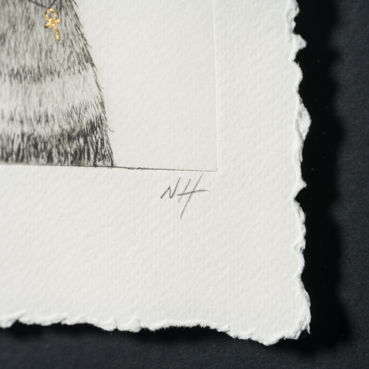 Rasta Bear VII